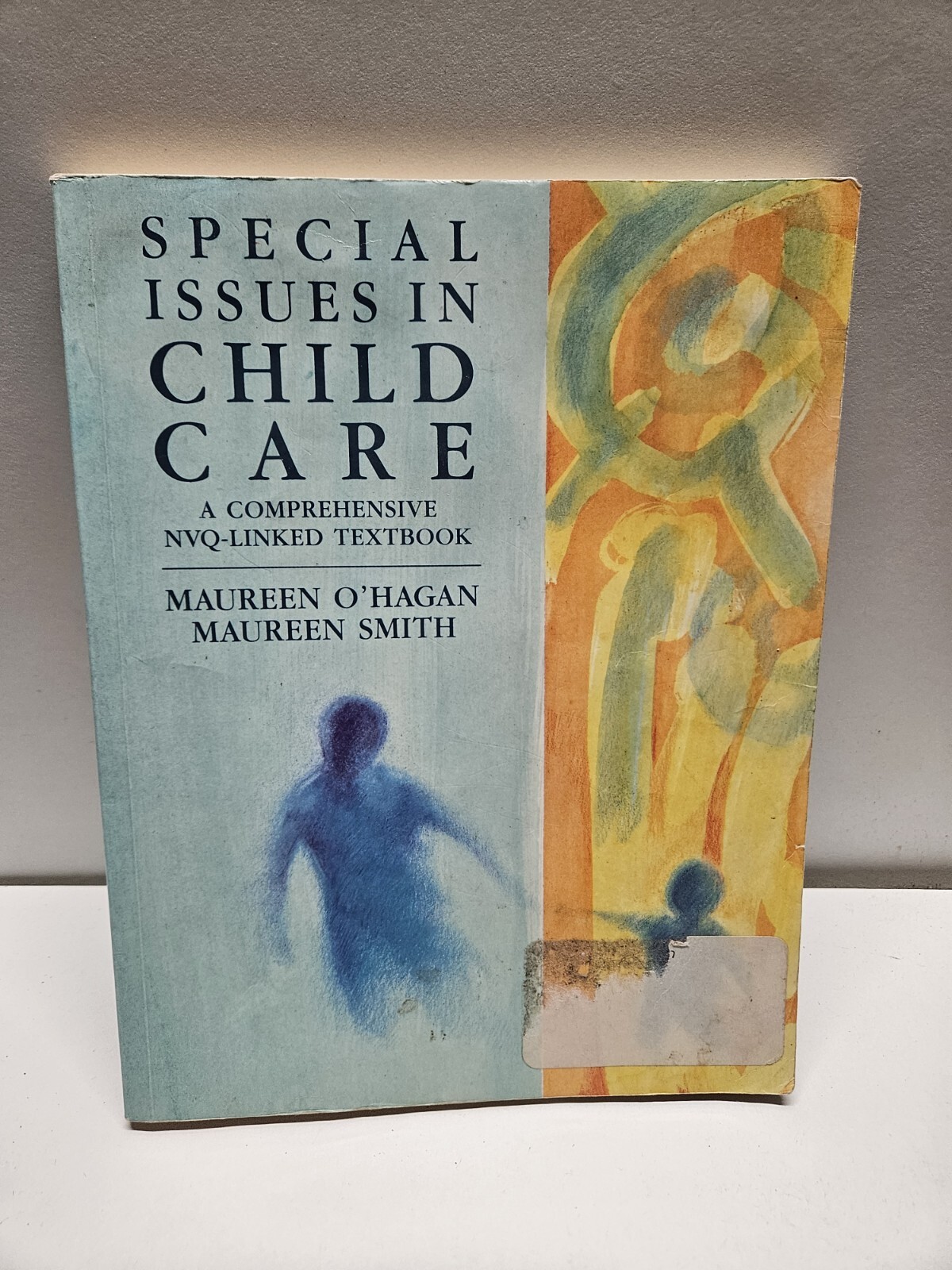 Special Issues in Child Care by Maureen O’Hagan, Maureen Margaret Smith